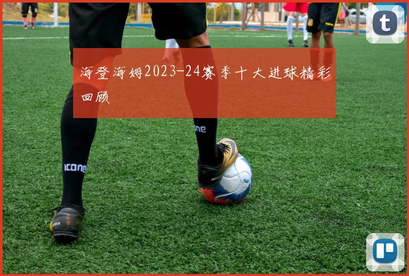 海登海姆2023-24赛季十大进球精彩回顾