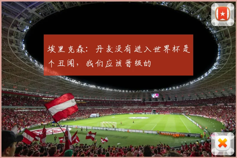 埃里克森：丹麦没有进入世界杯是个丑闻，我们应该晋级的